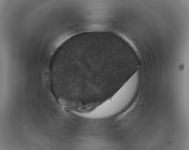 X0000091951453200709271316