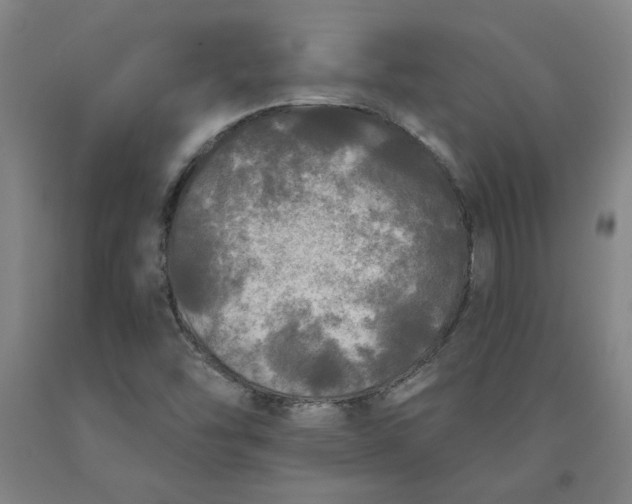 X0000091951454200709271316