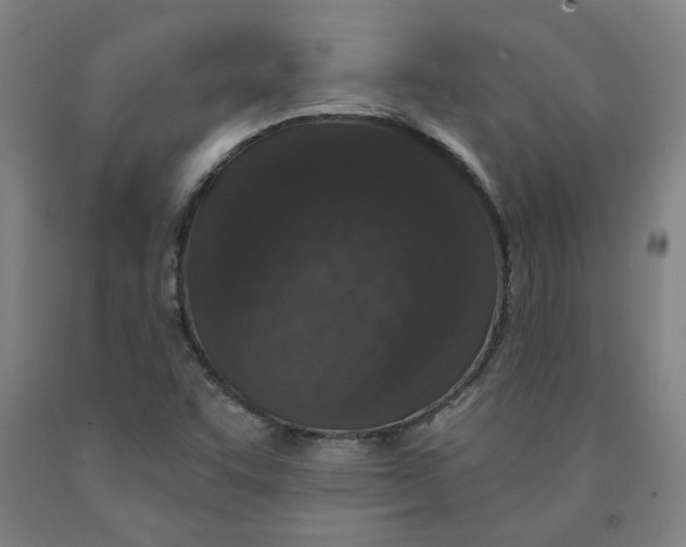 X0000091951455200709271316