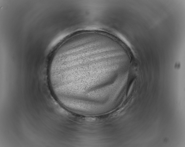 X0000091951456200709271316