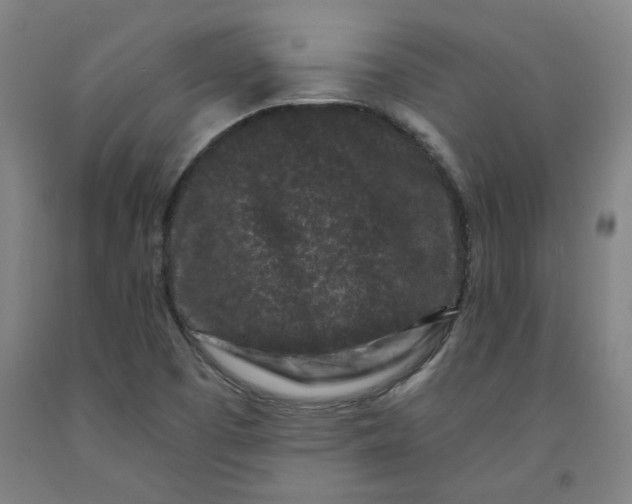 X0000091951457200709271316