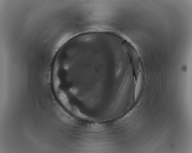 X0000091951459200709271316