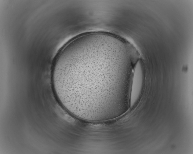 X0000091951460200709271316