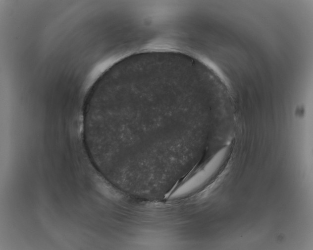 X0000091951461200709271316