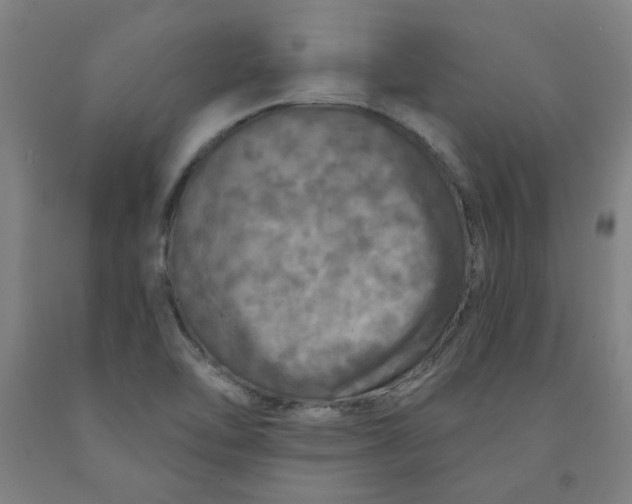 X0000091951462200709271316