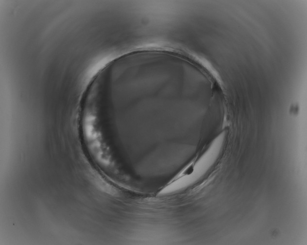 X0000091951463200709271316