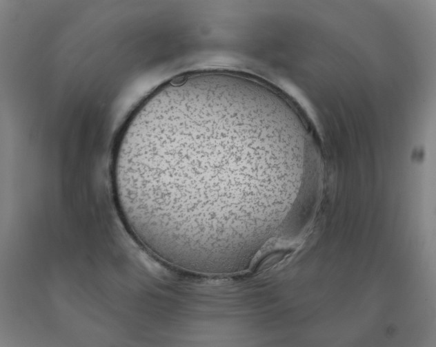 X0000091951464200709271316