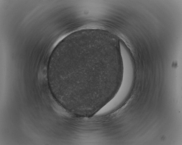 X0000091951465200709271316