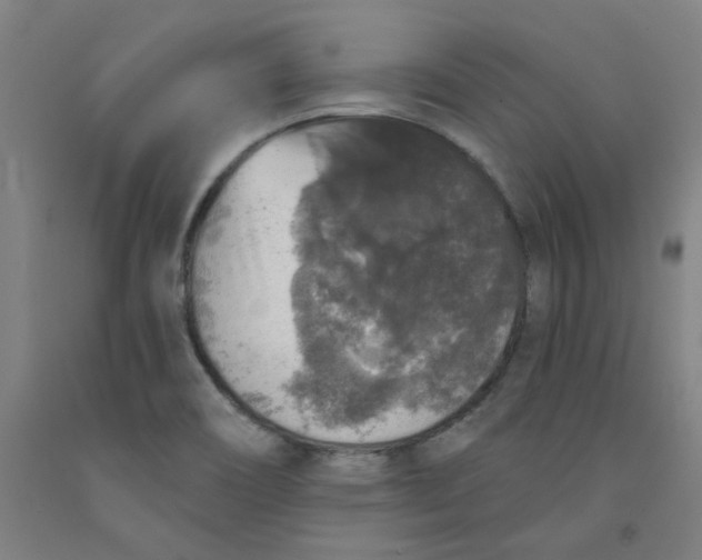 X0000091951466200709271316