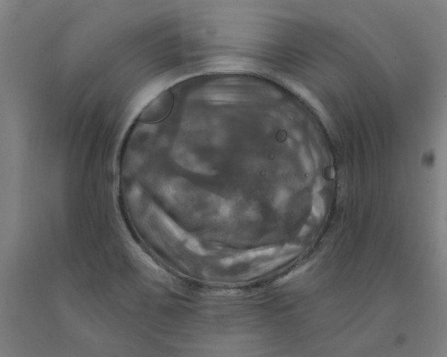 X0000091951467200709271316