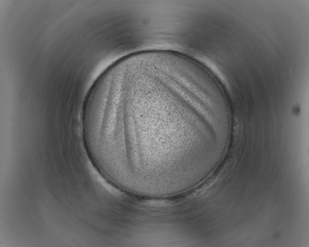 X0000091951468200709271316