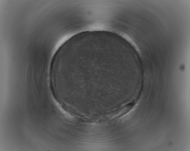 X0000091951469200709271316