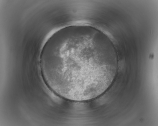 X0000091951470200709271316