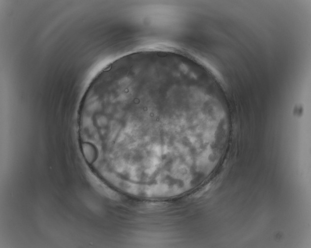 X0000091951471200709271316