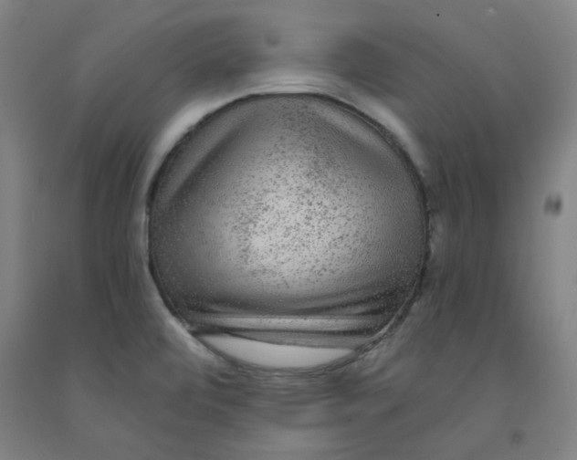 X0000091951472200709271316