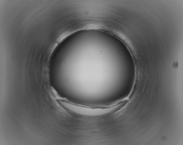 X0000091951473200709271316