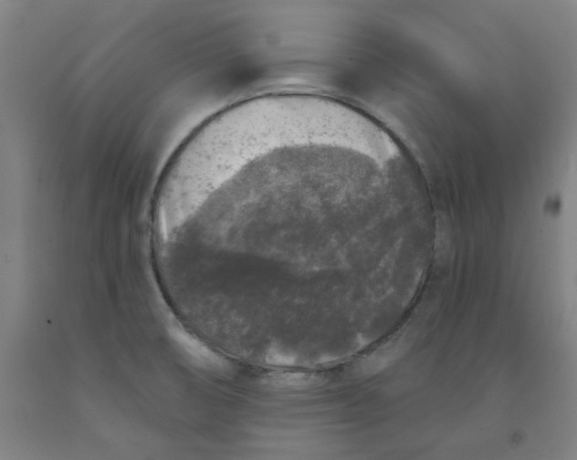 X0000091951474200709271316