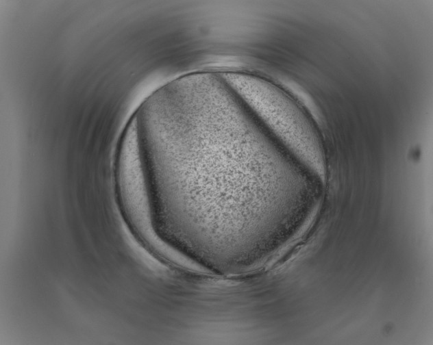 X0000091951475200709271316