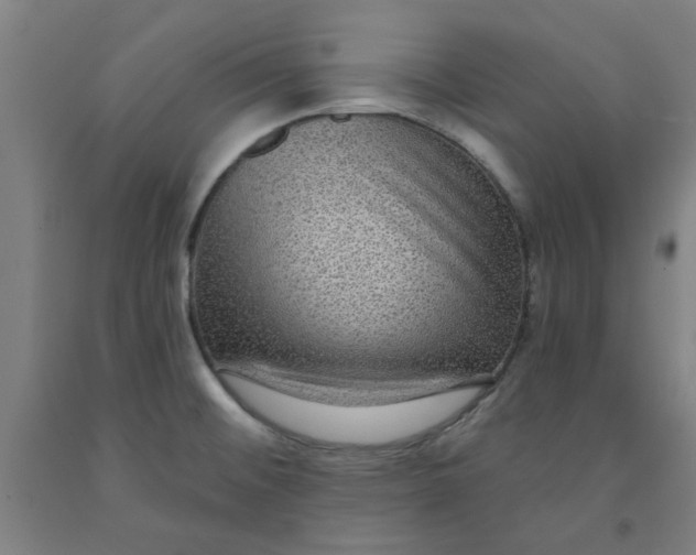 X0000091951476200709271316