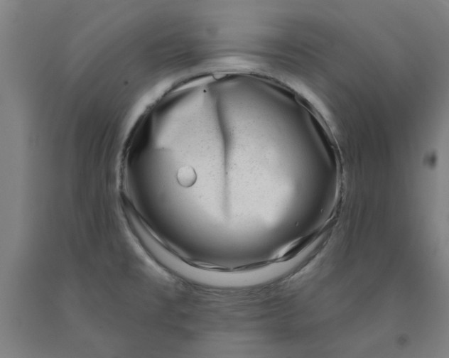 X0000091951477200709271316