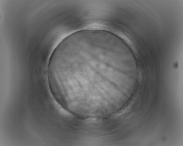 X0000091951478200709271316