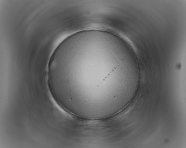 X0000091951479200709271316