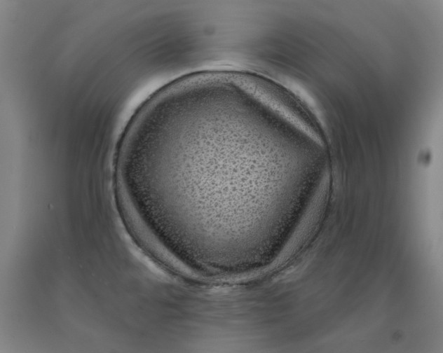 X0000091951480200709271316