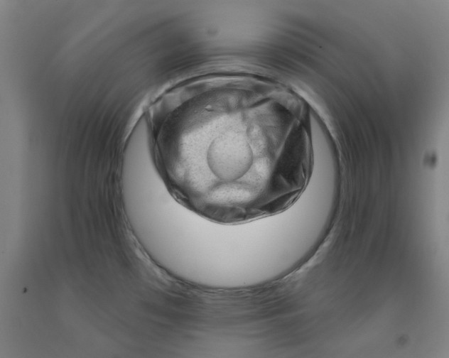 X0000091951481200709271316