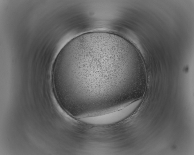 X0000091951483200709271316