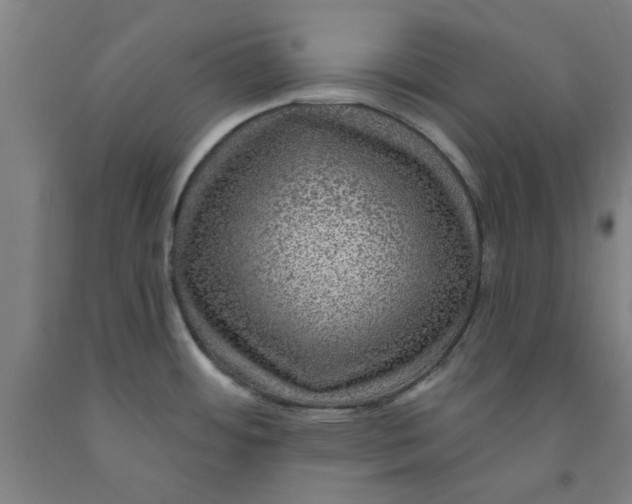 X0000091951484200709271316