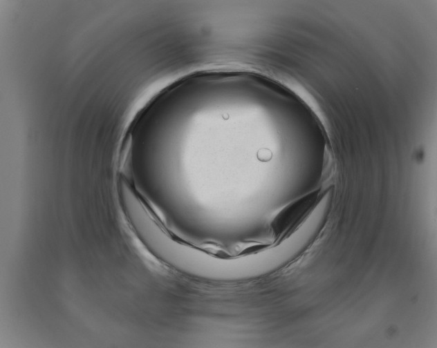 X0000091951485200709271316