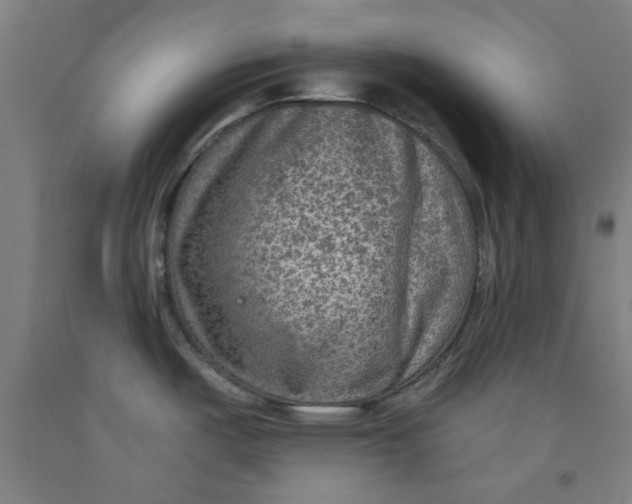 X0000091951487200709271316