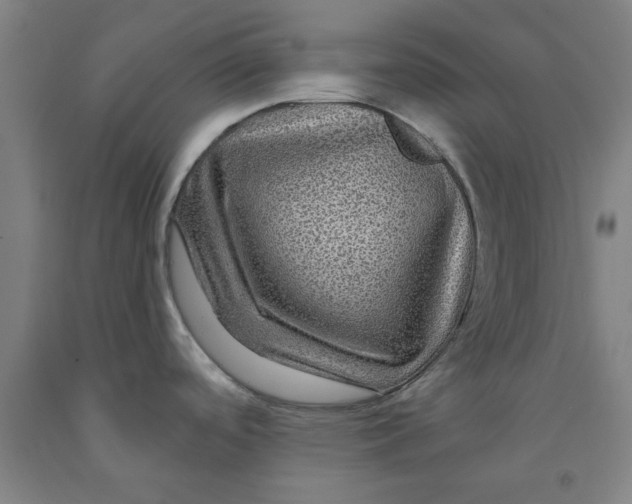 X0000091951488200709271316