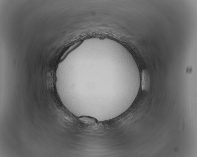 X0000091951491200709271315