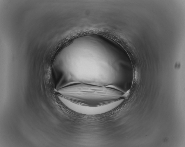 X0000091951492200709271315