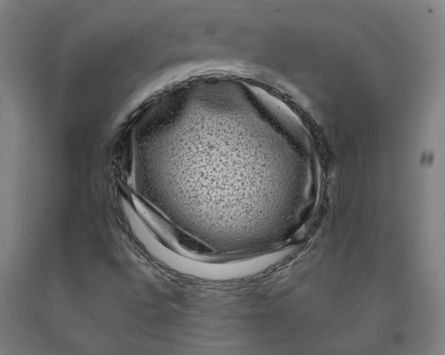 X0000091951496200709271315