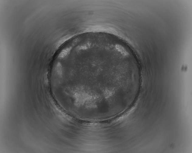 X0000091951497200709271315