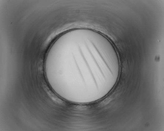 X0000091951499200709271315