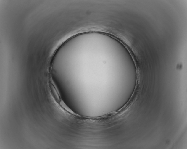 X0000091951500200709271315