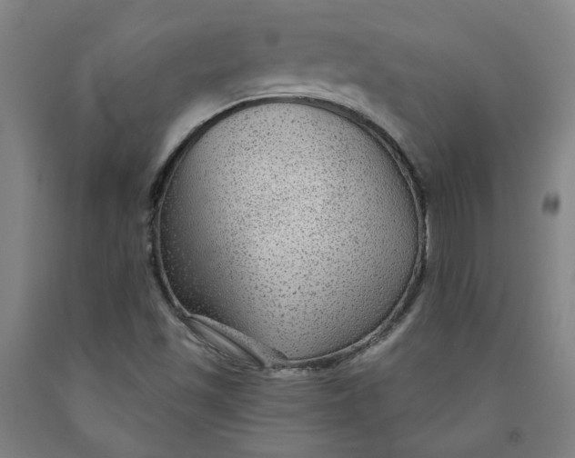 X0000091951501200709271315