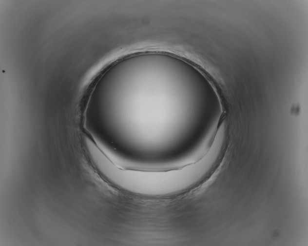 X0000091951502200709271315