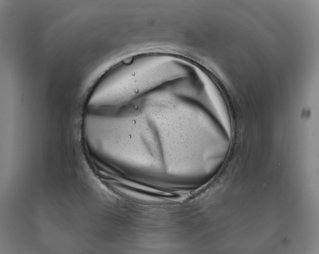 X0000091951504200709271315