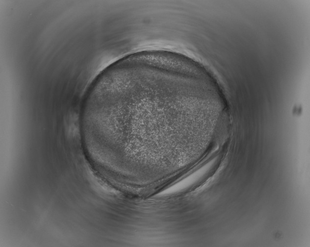 X0000091951505200709271315