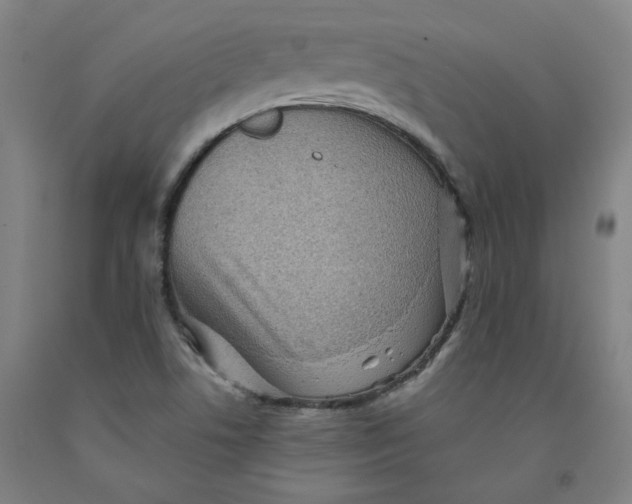 X0000091951506200709271315