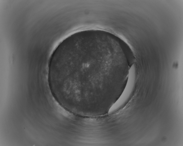 X0000091951508200709271315