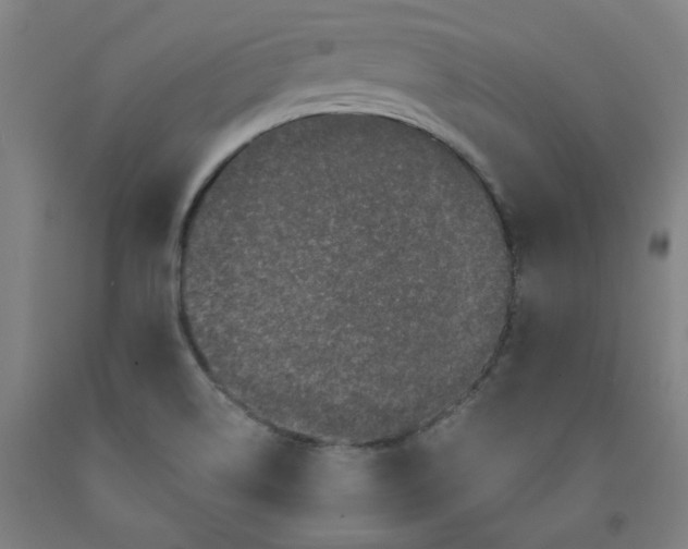 X0000091951514200709271315