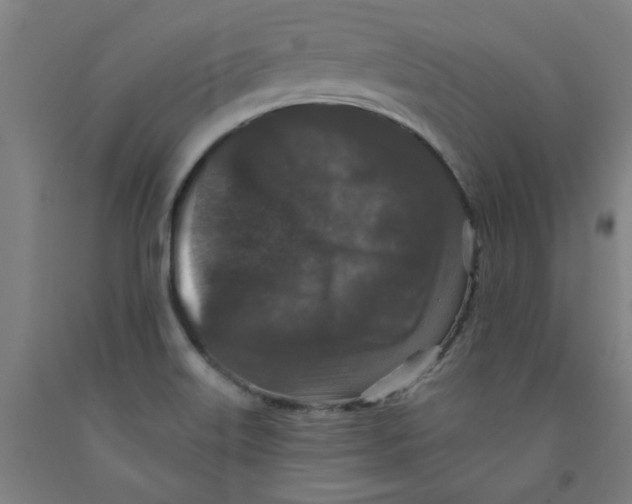 X0000091951515200709271315