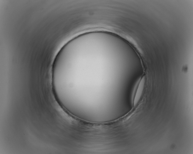 X0000091951516200709271315