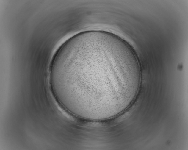 X0000091951517200709271315