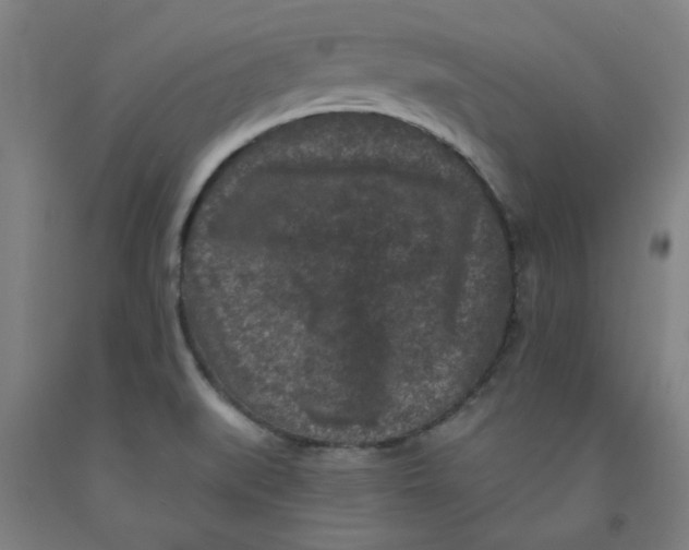 X0000091951519200709271315